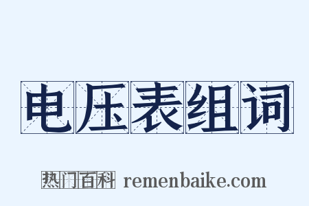 电压表组词是什么意思的图片